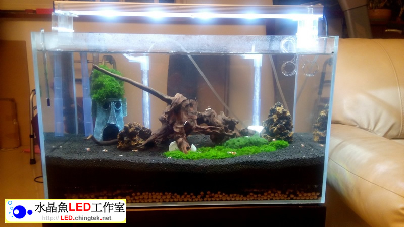 2呎(63公分) 可切換式 LED水族燈:　2呎 水草缸